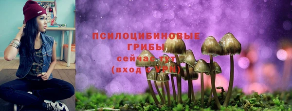 МДПВ Абдулино