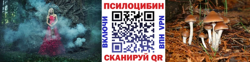 Псилоцибиновые грибы Psilocybe  Ивантеевка 